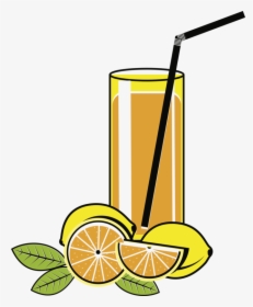 Plant,citrus,drink, HD Png Download, Transparent PNG