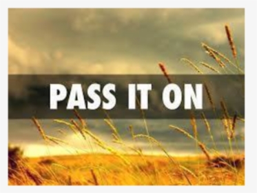 Grass, HD Png Download, Transparent PNG