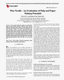 Pine Needles Png, Transparent Png, Transparent PNG