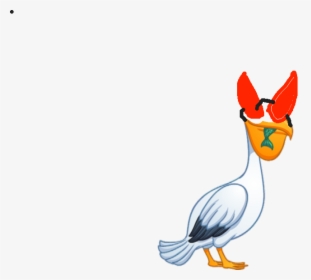 Duck, HD Png Download, Transparent PNG