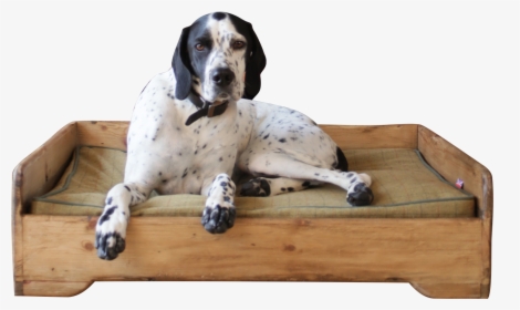 Handmade - Wooden - Dog Bed - Hunt And Wilson - Dog - Dog Yawns, HD Png Download, Transparent PNG