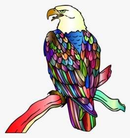 Eagle,falconiformes,kite - Bald Eagle Coloring Page, HD Png Download, Transparent PNG