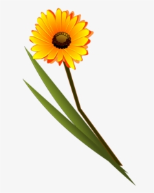 Transvaal Daisy Flower Drawing Daisy Family Common - Flower Clip Art, HD Png Download, Transparent PNG