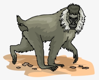 Monkey Clipart Baboon - Baboons, HD Png Download, Transparent PNG