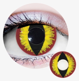 Primal Costume Contact Lenses Yellow, HD Png Download, Transparent PNG
