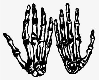 Skeleton Hands Black Png, Transparent Png, Transparent PNG