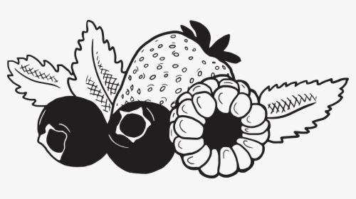 Fruit And Cheese Black And White, HD Png Download, Transparent PNG