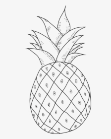Pineapple, HD Png Download, Transparent PNG