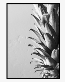 Pineapple Poster - Pineapple, HD Png Download, Transparent PNG