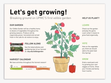 Poster Shadow Chen - Flowerpot, HD Png Download, Transparent PNG
