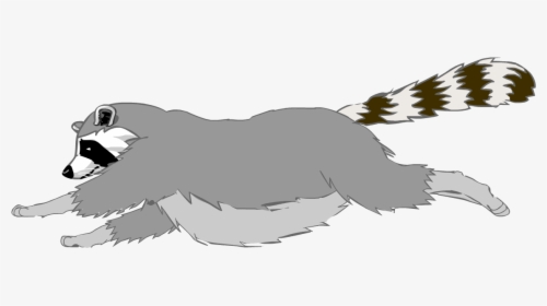 Raccoon Jumping, HD Png Download, Transparent PNG