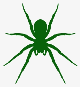 Realistic Spider, HD Png Download, Transparent PNG