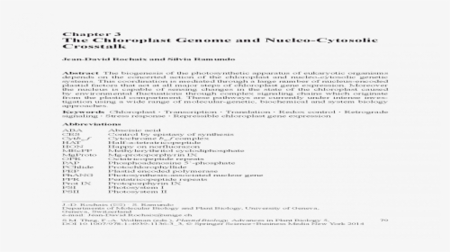 Classification Of Organometallic Compounds, HD Png Download, Transparent PNG