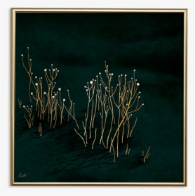 Picture Frame, HD Png Download, Transparent PNG