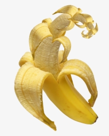 Banana Banana Family Fruit Food Produce - Inside Of A Banana, HD Png Download, Transparent PNG