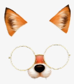 Fox Face 😍🤤 Fox Glasses Stile 💕💫 Freetoedit - Drawing, HD Png Download, Transparent PNG