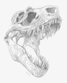 Collection Of Free Dinosaur Drawing Skull - T Rex Skull Design, HD Png Download, Transparent PNG