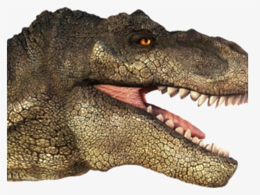 Tyrannosaurus Rex Clipart Transparent - T Rex Head Png, Png Download, Transparent PNG