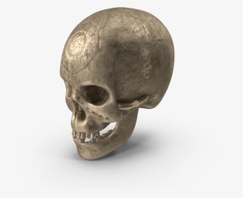 Ancient - Skull - H03 - 2k, HD Png Download, Transparent PNG