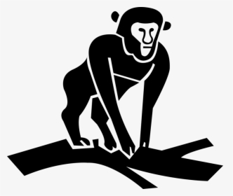 Vector Illustration Of Primate Monkey Ape On Tree Branch, HD Png Download, Transparent PNG