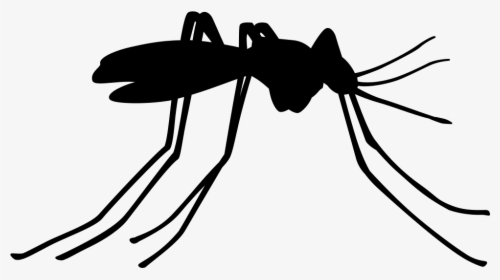 Mosquito Insect Side View - Transparent Background Mosquito Icon, HD Png Download, Transparent PNG