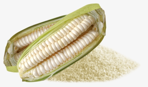 Colombian Corn, HD Png Download, Transparent PNG