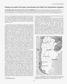 Document, HD Png Download, Transparent PNG