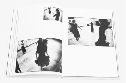 Books Flamenco 5 - Snapshot, HD Png Download, Transparent PNG