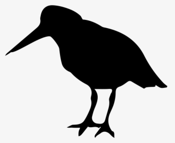 Oystercatcher Bird Of Coasts Silhouette - Oyster Catcher Png, Transparent Png, Transparent PNG