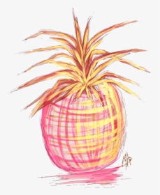 Pink Drawing Pineapple - Chic Pineapple, HD Png Download, Transparent PNG