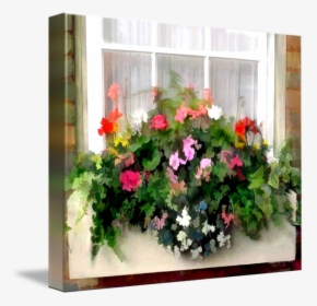 Window Box Png - Petunia, Transparent Png, Transparent PNG