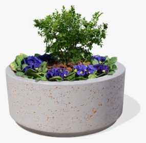 Coss Model Circular Planter Made Of Cement - Flowerpot, HD Png Download, Transparent PNG