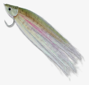 Rainbow Trout - - Earrings, HD Png Download, Transparent PNG