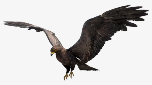 Far Cry Wiki - Golden Eagle, HD Png Download, Transparent PNG