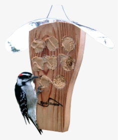 Downy Woodpecker, HD Png Download, Transparent PNG