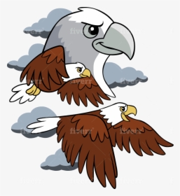 Bald Eagle, HD Png Download, Transparent PNG