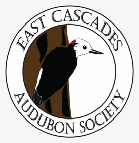 East Cascades Audubon - East Cascades Audubon Society Logo, HD Png Download, Transparent PNG