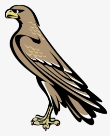 Falcon - Falcon Symbol Coat Of Arms, HD Png Download, Transparent PNG
