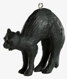 Black Cat Halloween Horror Ornament - Black Cat, HD Png Download, Transparent PNG