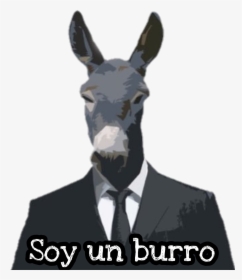 #burro - Burro, HD Png Download, Transparent PNG