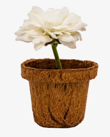 Beautiful Little Pot - Flowerpot, HD Png Download, Transparent PNG