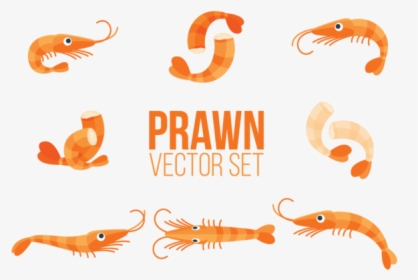 Cute Shrimp Vector Png, Transparent Png, Transparent PNG