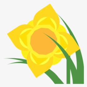Daffodil, HD Png Download, Transparent PNG