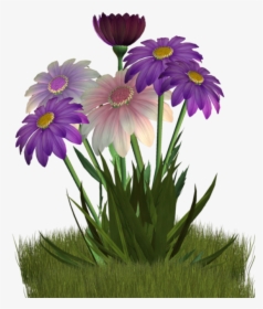 Daisies Clipart Spring Season - Flower, HD Png Download, Transparent PNG