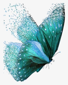 #dispersion #butterflies #teal - Teal Colored Butterflies, HD Png Download, Transparent PNG