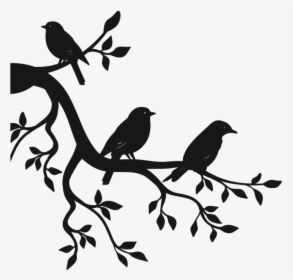 Paper Sticker Branch Bird Wall Decal - Birds On Branch Drawing, HD Png Download, Transparent PNG