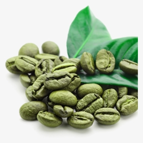 Wayanadan Green Coffee Beans - Green Coffee Bean Png, Transparent Png, Transparent PNG