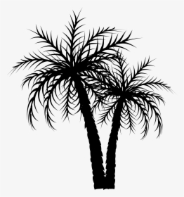 Asian Palmyra Palm Palm Trees Date Palm Coconut Image - Palmyra Clipart, HD Png Download, Transparent PNG