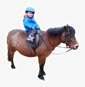 Learning With Horses - Boy Riding Horse Png, Transparent Png, Transparent PNG