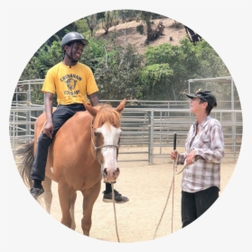 Horse Ride - Sorrel, HD Png Download, Transparent PNG